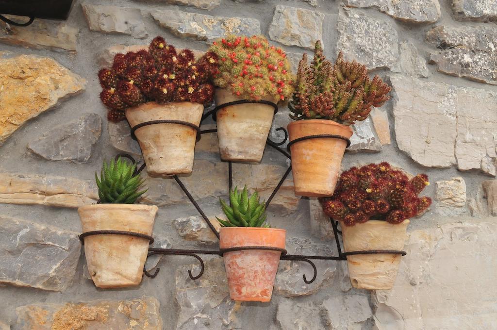 Casa Rural Llugaron I Konuk evi Miravalles Dış mekan fotoğraf