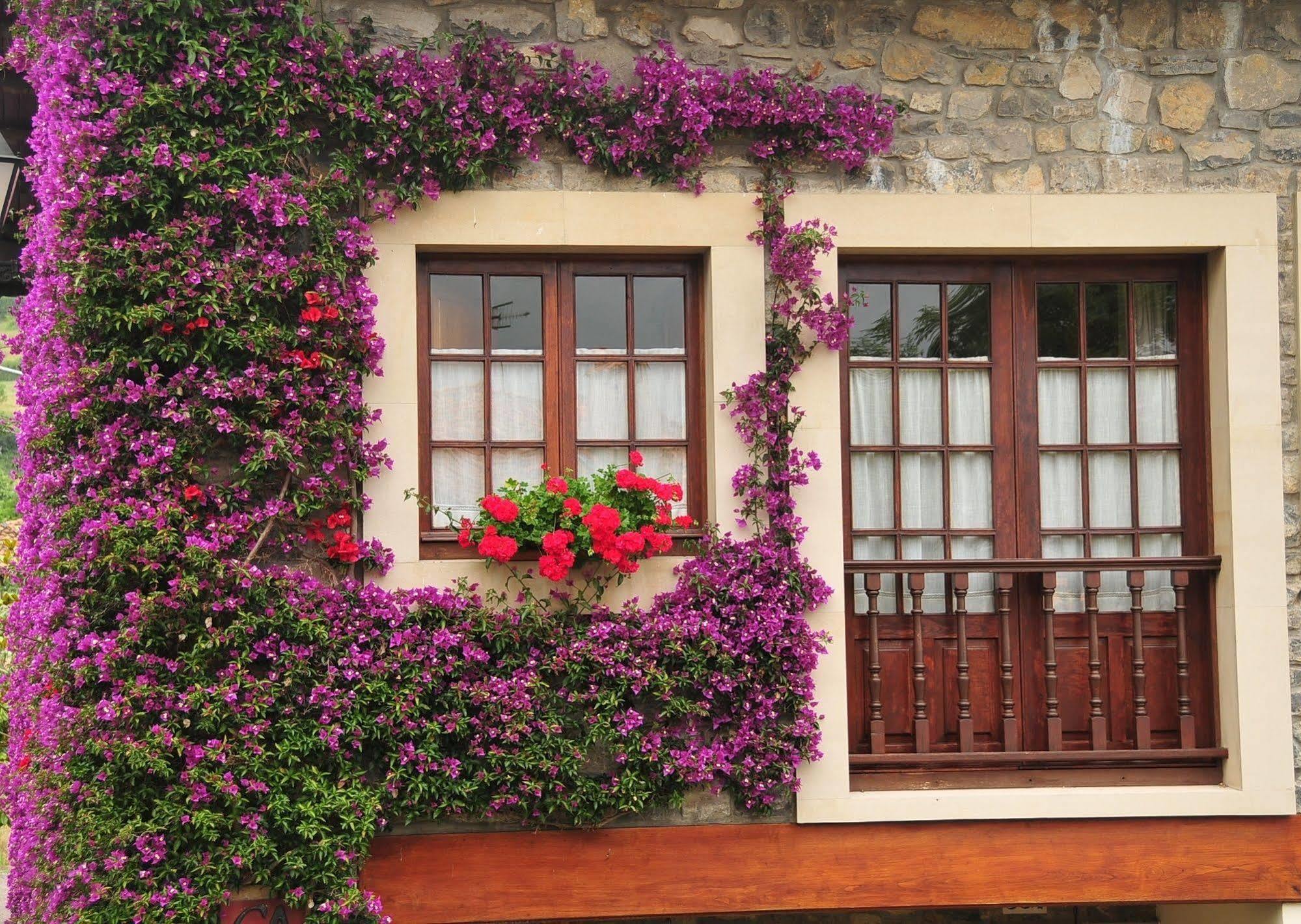 Casa Rural Llugaron I Konuk evi Miravalles Dış mekan fotoğraf